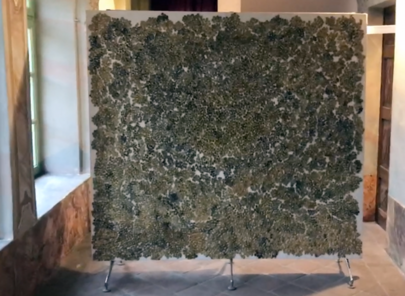 VIDEO - La personale di Greta Penacca a Villa Vidua